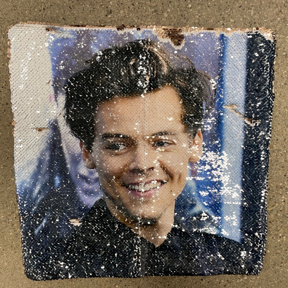 Harry Styles Sequined Peek-A-Boo Throw Pillow Case Cover Velveteen Back 15x15in